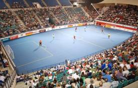 Enjoy FREE Sports Entertainment